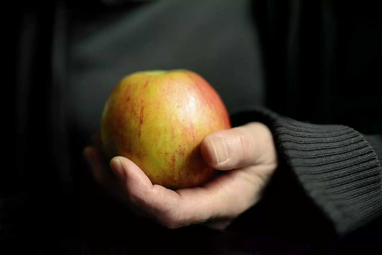 Vegetarianismul și etica: înțelegerea conexiunii